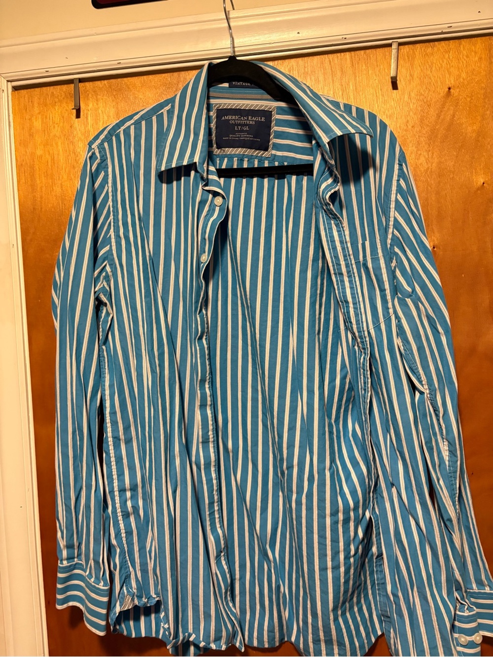American Eagle Outfitters Teal and White Vertical Stripe Button-Down Shirt